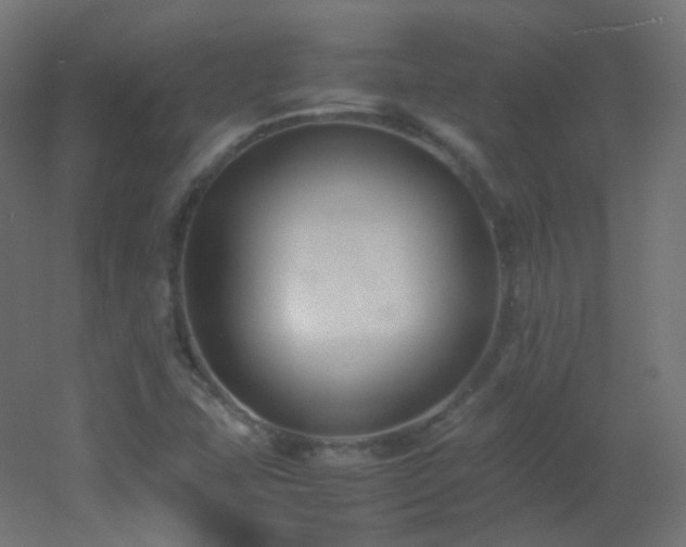 X0000053071407200507111206