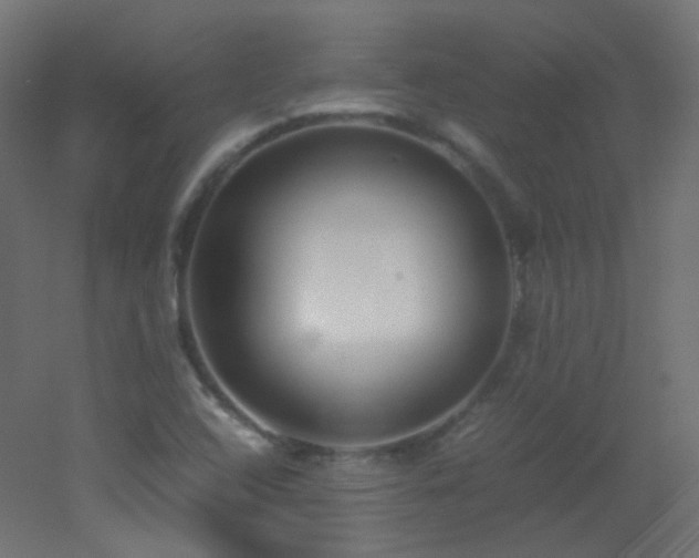 X0000053071408200507111206
