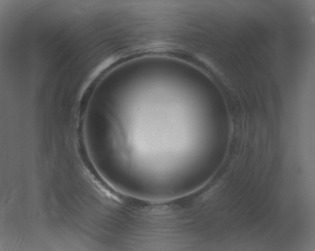 X0000053071410200507111206