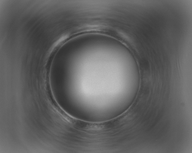 X0000053071411200507111206
