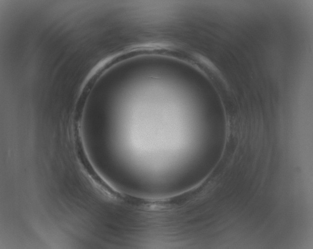 X0000053071412200507111206