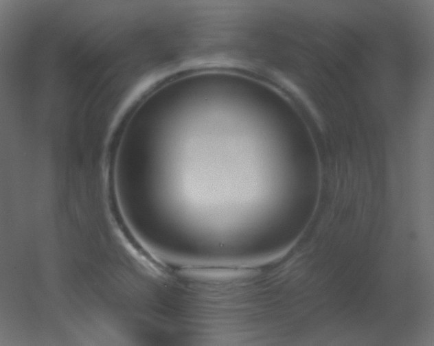 X0000053071416200507111206