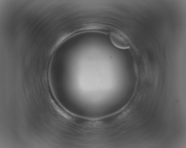 X0000053071417200507111206