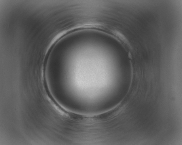 X0000053071420200507111206