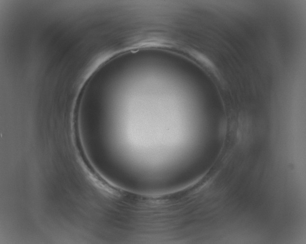 X0000053071423200507111206