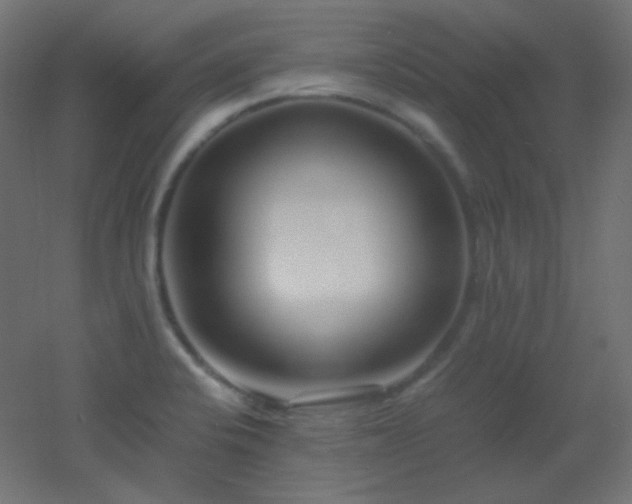 X0000053071424200507111206