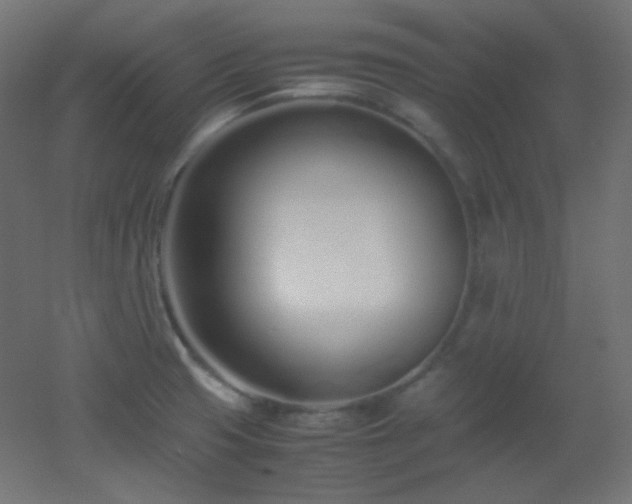 X0000053071425200507111206