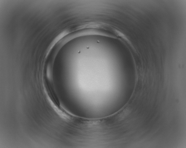 X0000053071426200507111206