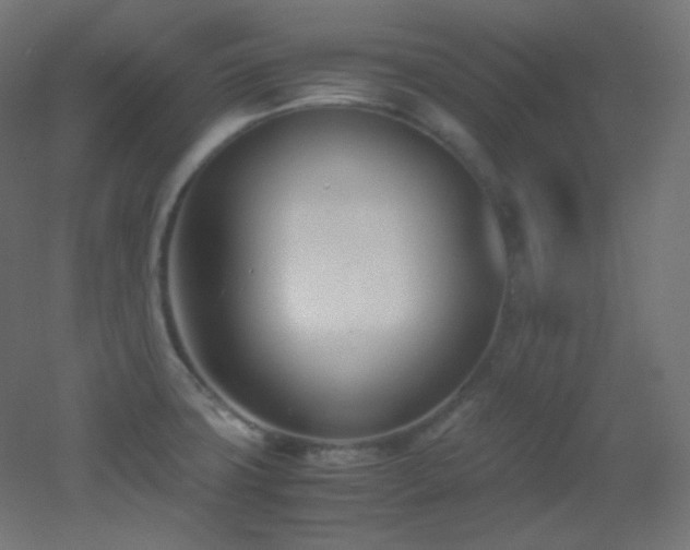 X0000053071427200507111206