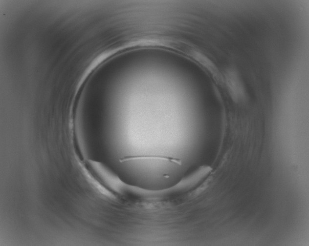 X0000053071428200507111206