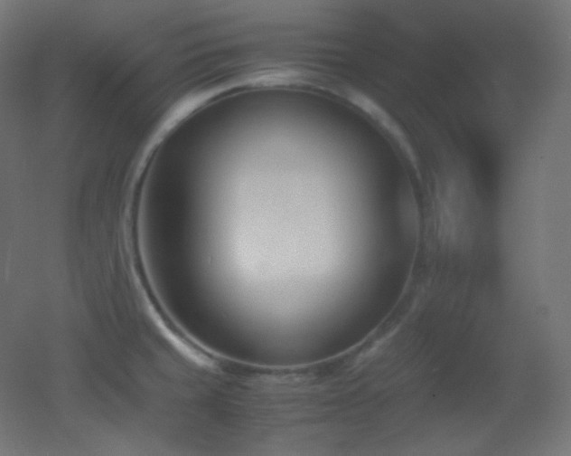 X0000053071429200507111206
