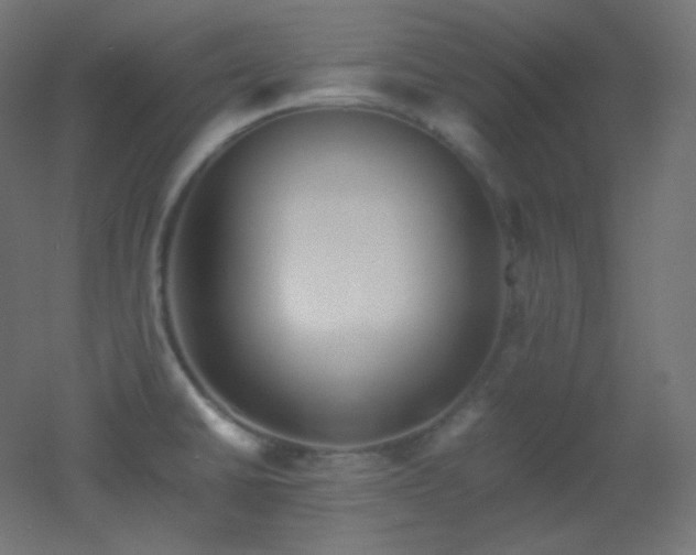 X0000053071430200507111206