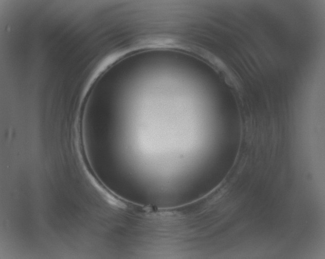 X0000053071432200507111206