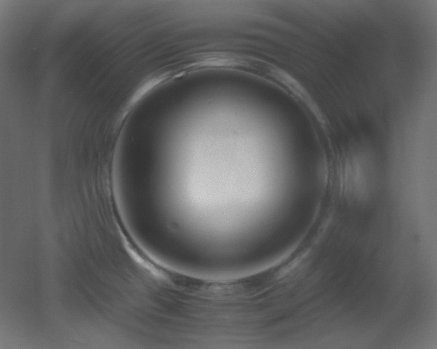 X0000053071433200507111206