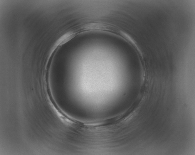X0000053071434200507111207