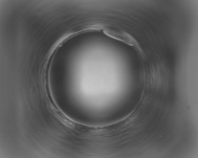 X0000053071435200507111207