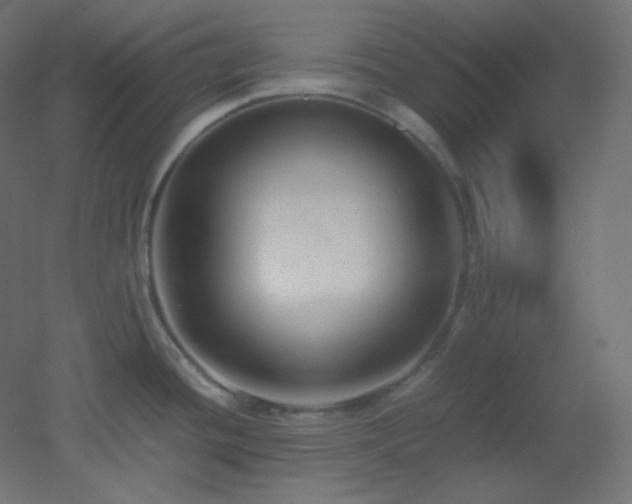 X0000053071436200507111207