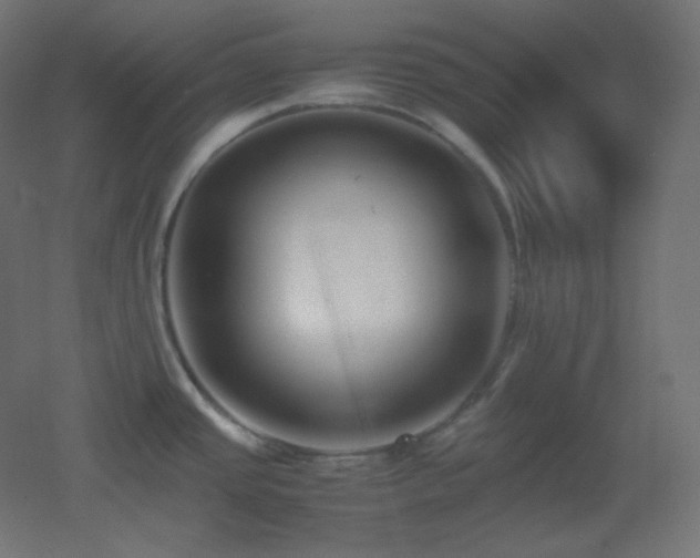 X0000053071437200507111207