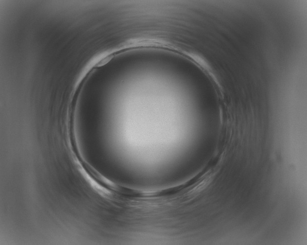 X0000053071438200507111207