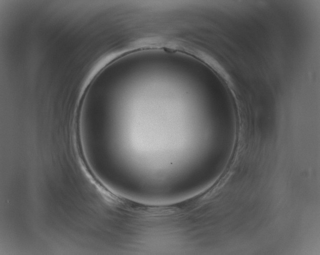 X0000053071440200507111207