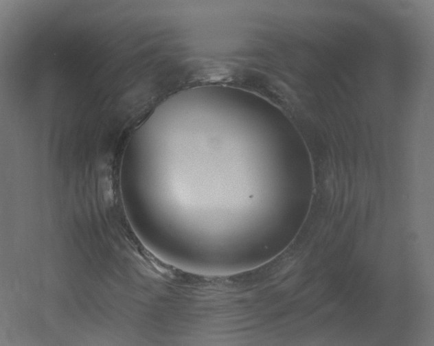 X0000053071442200507111206