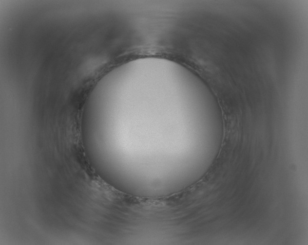 X0000053071446200507111206