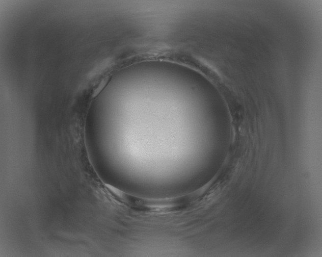 X0000053071447200507111206