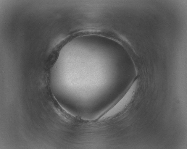 X0000053071448200507111206