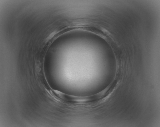 X0000053071449200507111206
