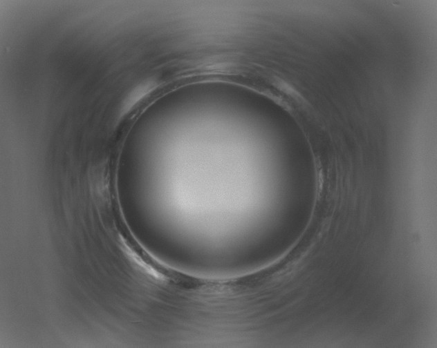 X0000053071450200507111206