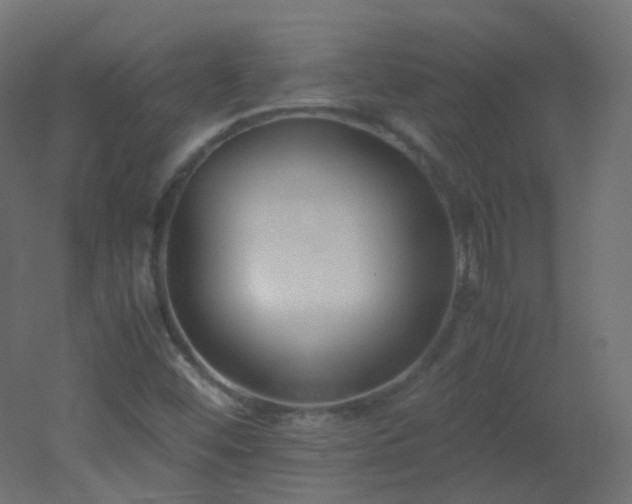 X0000053071452200507111206