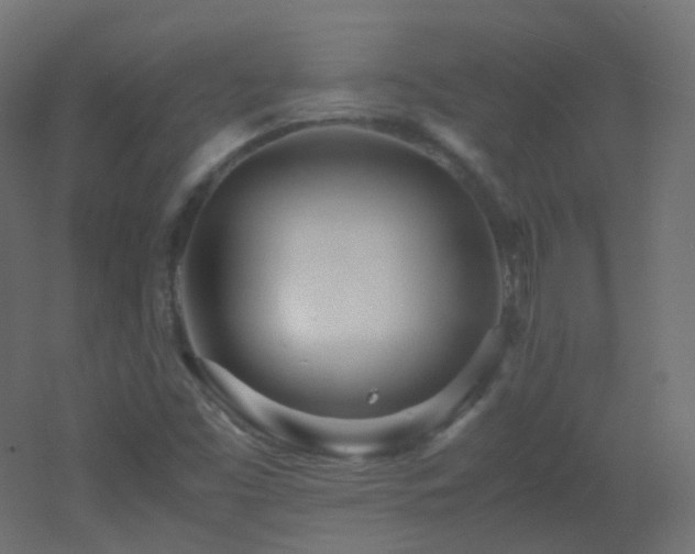 X0000053071453200507111206
