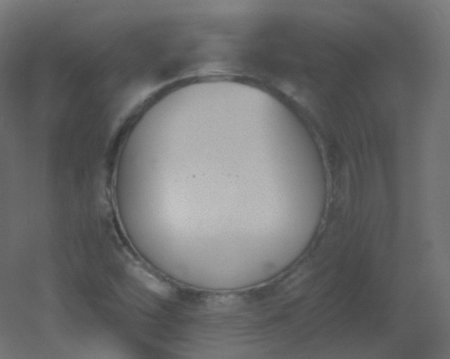 X0000053071454200507111206