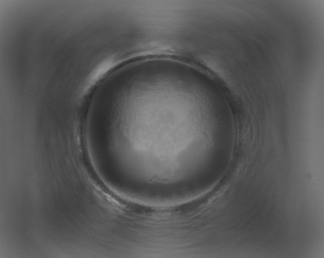 X0000053071455200507111206