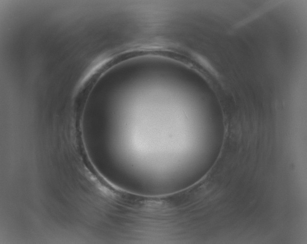 X0000053071456200507111206