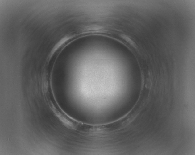 X0000053071458200507111206