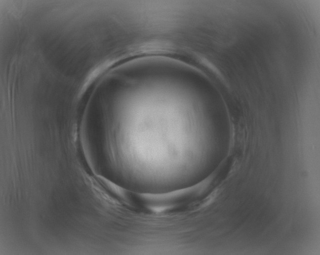 X0000053071461200507111205