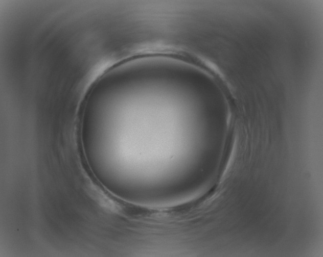 X0000053071463200507111205