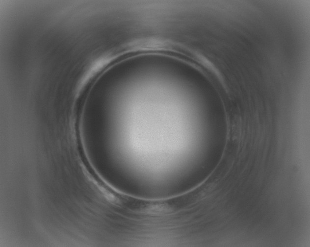 X0000053071464200507111205