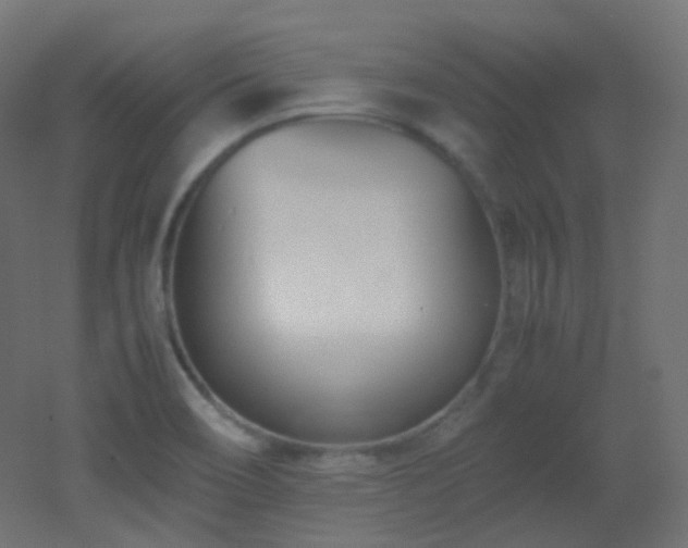 X0000053071466200507111205