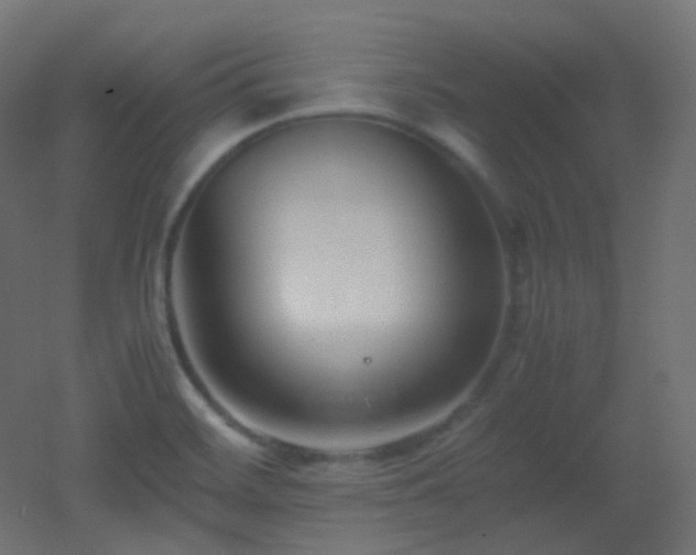 X0000053071468200507111205