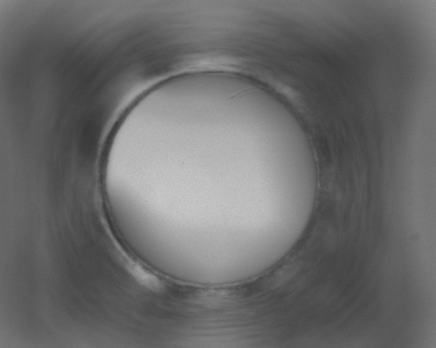 X0000053071470200507111205