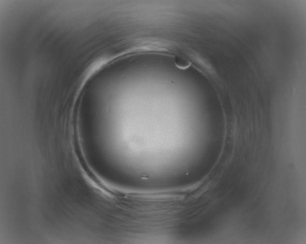 X0000053071471200507111205