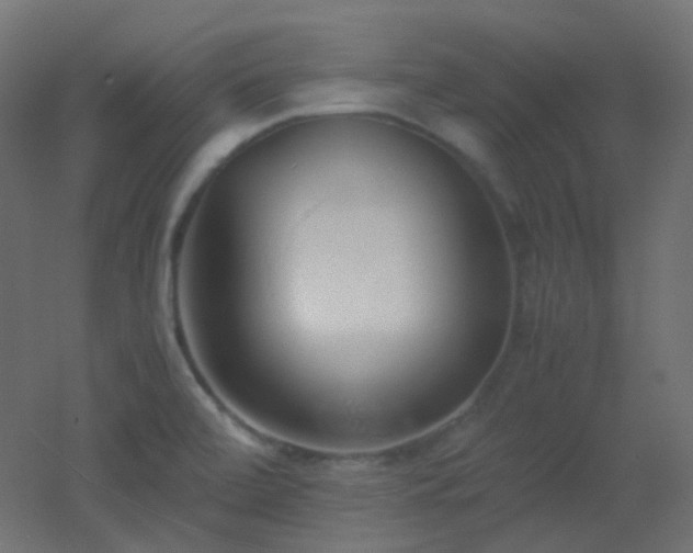 X0000053071472200507111205