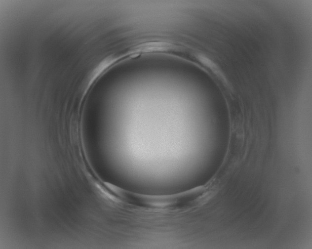 X0000053071473200507111205