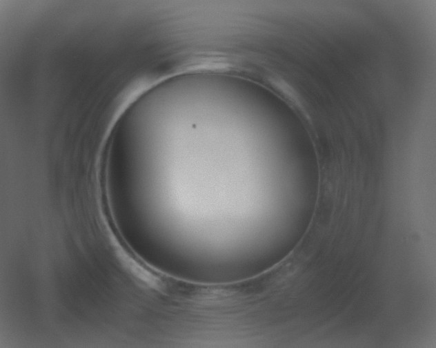 X0000053071475200507111205