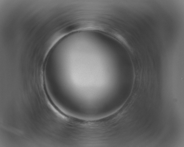 X0000053071476200507111205