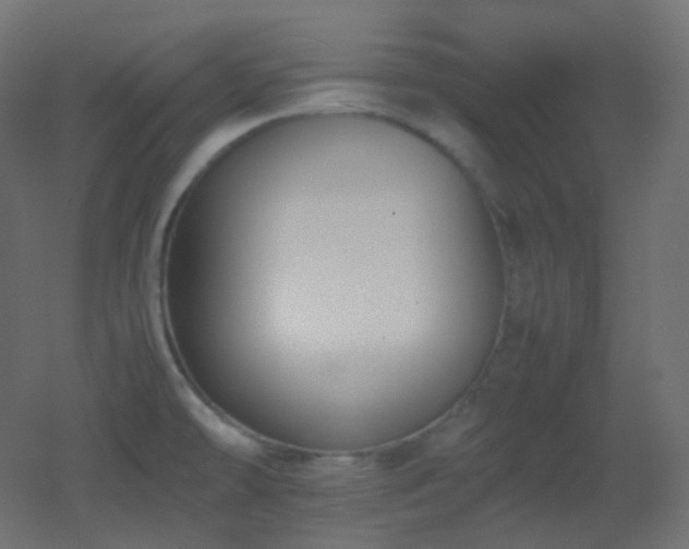 X0000053071478200507111205