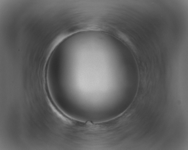 X0000053071479200507111205