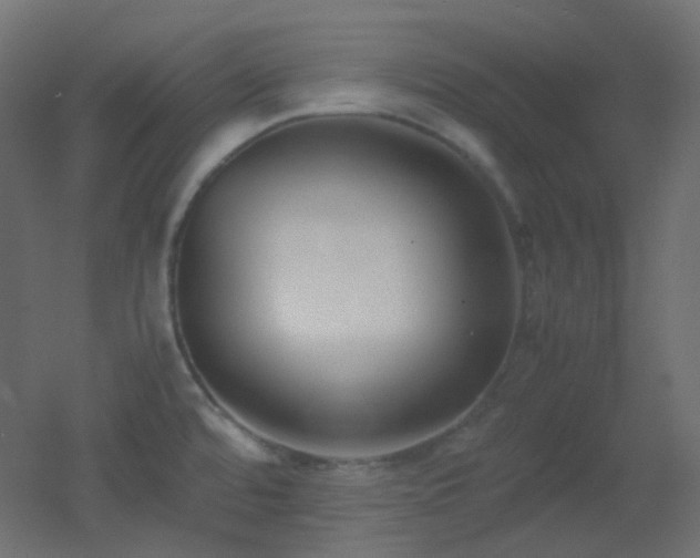 X0000053071480200507111205